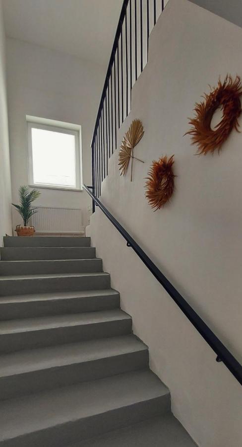 Chill N Grill Apartment Jeseník Εξωτερικό φωτογραφία